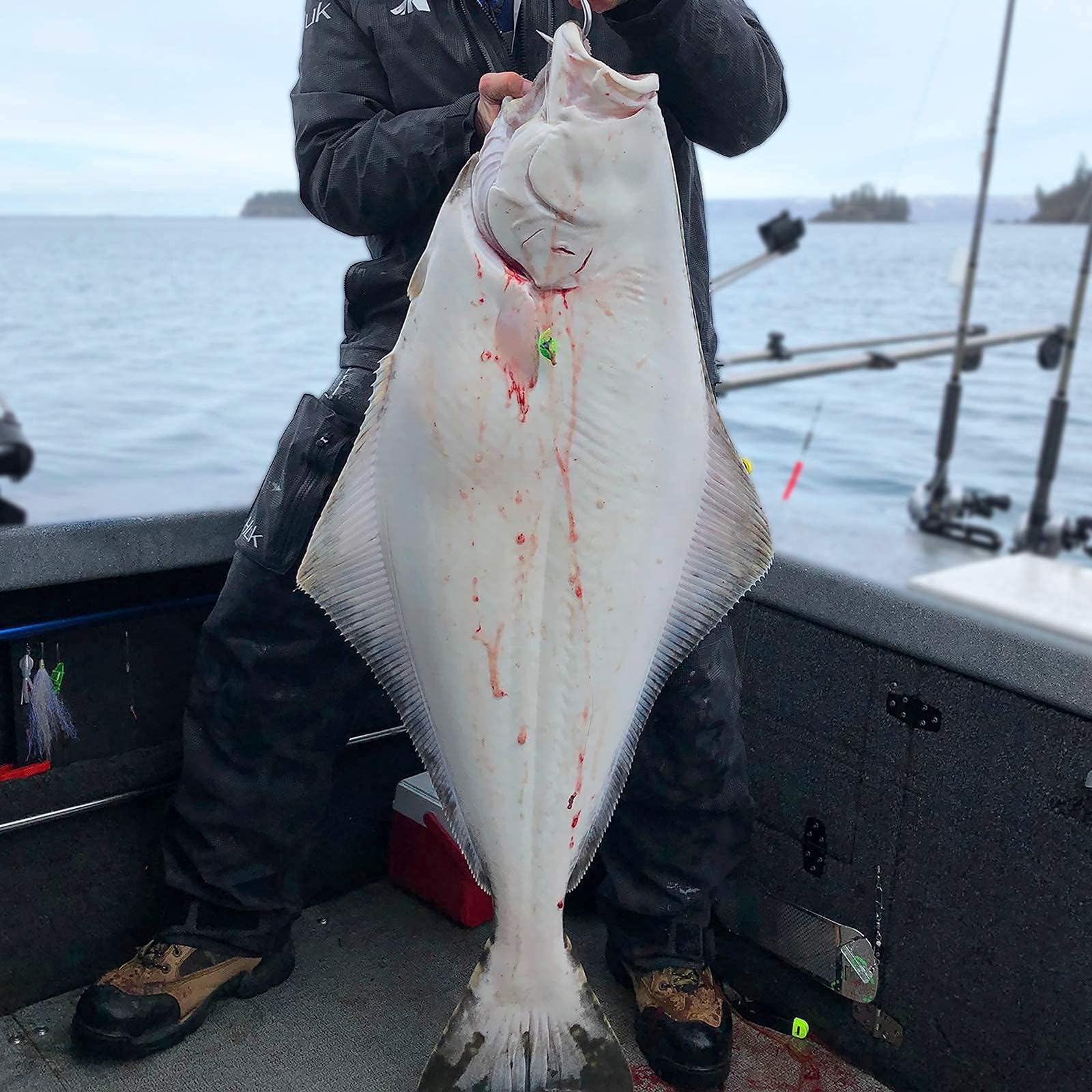 KastKing Kapstan Elite 300 Baitcasting Fishing Reel, Low Profile, Large Capacity Casting Reel, Graphite Frame, 35 lbs. Drag 5.4:1 Ratio, 8+1 Double Shielded/SS BB Centrifugal Braking - Image 7