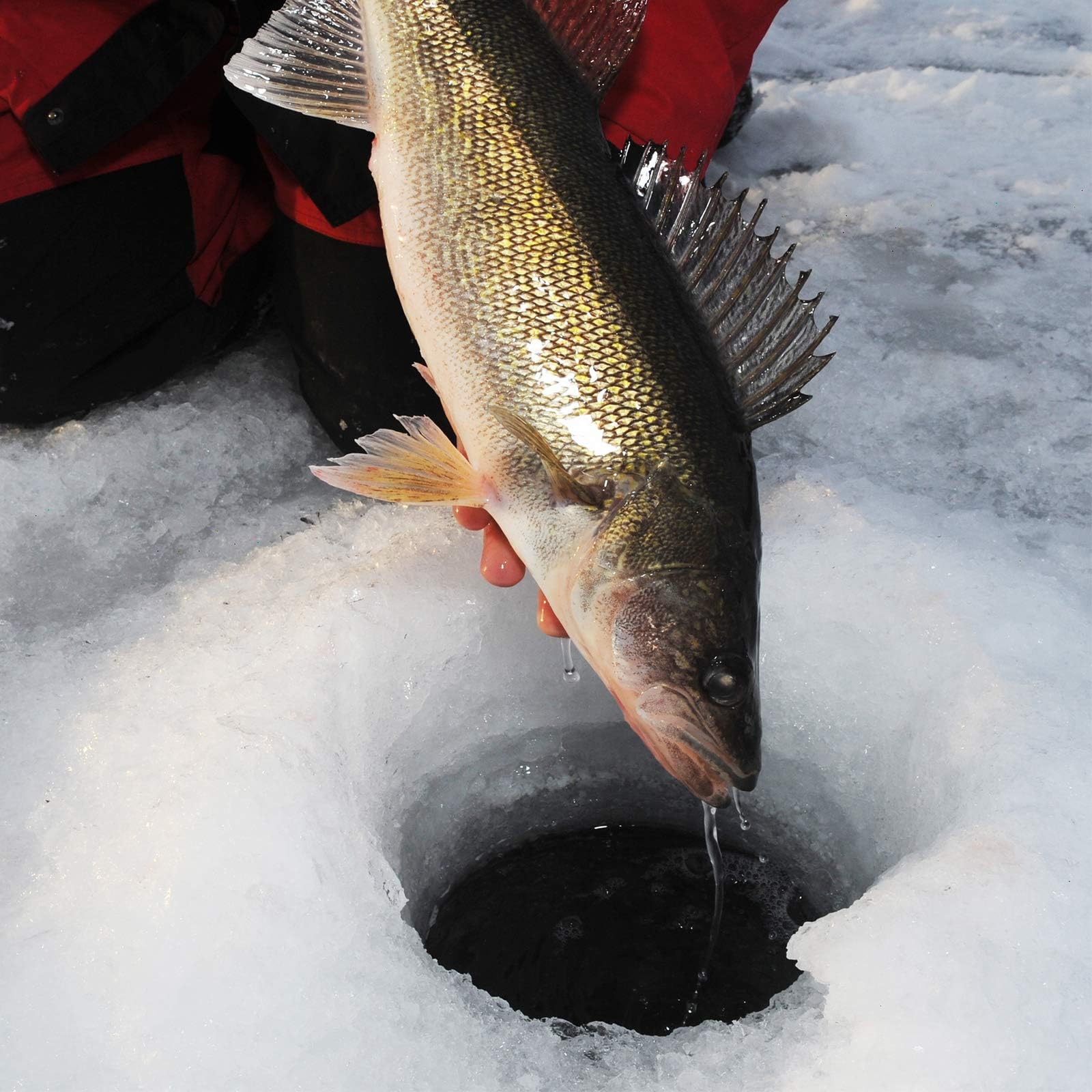 KastKing Zephyr Spinning Reels – 7+1/6+1 BB – Carbon Fiber Drag – Stainless Steel Shaft – Aluminum & CNC Spool – Black/Green/Orange – Sizes 500/1000 SFS – ICE Fishing Ready Reels! - Image 7